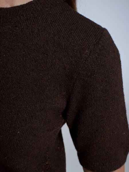 Parıltılı Kısa Kollu Kazak-Kahve